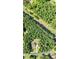 Overhead shot of home and expansive lot surrounded by lush trees, offering privacy and seclusion at 105 Chantilly Ln, Fayetteville, GA 30215