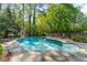 Backyard with a gunite pool, lush landscaping, a small shed, and lots of mature trees at 5641 Roberts Dr, Dunwoody, GA 30338