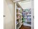 Well-organized pantry with custom shelving, providing ample storage space for food items at 5473 Heyward Square Pl, Marietta, GA 30068