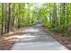 Long, private driveway winding through a serene wooded area leading to the property at 1459 Harris Rd, Lawrenceville, GA 30043