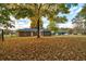 Autumn leaves litter a backyard featuring lush green lawn, mature trees, and a brick house with screened porch at 241 Burke Cir, Mcdonough, GA 30253
