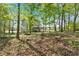 A partially-wooded backyard is partially covered in fallen leaves at 27 Friendship Rd, Euharlee, GA 30145