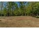 Wide backyard offering privacy with lush trees at 19 Four Feathers Ne Ln, Rydal, GA 30171