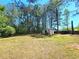 View of the backyard with a small white shed surrounded by tall trees and a patch of grass at 35 Belmont Way, Covington, GA 30016