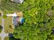 Overhead shot of a home surrounded by lush greenery, showcasing the in-ground pool and long driveway at 215 The Farm Rd, Mcdonough, GA 30252