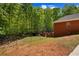 Fenced backyard with room for all activities and mature trees at 215 The Farm Rd, Mcdonough, GA 30252