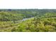 Panoramic aerial view of a lush green forest, river, and distant cityscape at 126 Abbington River Ln, Atlanta, GA 30339