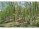 This home's expansive backyard is heavily wooded with a lush green canopy and healthy undergrowth at 126 Abbington River Ln, Atlanta, GA 30339