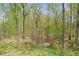 Lush backyard showcasing mature trees and greenery, offering a serene setting at 126 Abbington River Ln, Atlanta, GA 30339