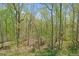 Wooded backyard view showing the abundant trees and natural foliage at 126 Abbington River Ln, Atlanta, GA 30339