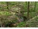 Small creek winding through a lush green wooded area with ferns and fallen branches at 126 Abbington River Ln, Atlanta, GA 30339