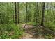 A nature trail winds through the lush green forest and offers a serene escape at 126 Abbington River Ln, Atlanta, GA 30339