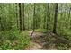 Peaceful wooded area with a walking trail, perfect for enjoying nature and outdoor activities at 126 Abbington River Ln, Atlanta, GA 30339