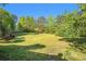 Spacious backyard with lush greenery, mature trees, and ample space for outdoor activities and landscaping at 560 Austin Dr, Mcdonough, GA 30252
