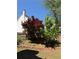 Home's backyard featuring mature trees, terraced beds and a fenced in yard at 2325 Walnut Grove Way, Suwanee, GA 30024