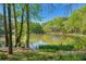 Scenic pond surrounded by trees and greenery, creating a peaceful and natural setting at 2095 Southers Cir, Suwanee, GA 30024