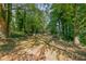 Secluded backyard featuring mature trees and abundant green space at 415 Westlake Nw Ct, Marietta, GA 30064