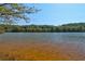 Scenic lake view with tree lined shore, providing a serene and natural backdrop at 171 Riverview Trl, Roswell, GA 30075