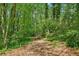 Wooded trail offering a tranquil escape surrounded by natural greenery and mature trees at 171 Riverview Trl, Roswell, GA 30075