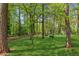 A sprawling green backyard has mature trees and deer statues creating a serene atmosphere at 4425 Reef Rd, Marietta, GA 30066