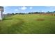 Expansive backyard space with lush green grass and a young tree at 5130 Travers Ln, Cumming, GA 30040