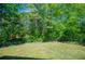 Expansive backyard featuring a well-maintained lawn, chain link fence, and lush trees at 4066 Harvest Ridge Dr, Douglasville, GA 30135
