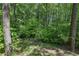 Secluded backyard featuring wooded lot with mature trees and privacy at 151 John Christopher Dr, Alpharetta, GA 30009