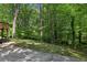 Landscaped backyard area with mature trees and lush greenery creating a serene outdoor space at 151 John Christopher Dr, Alpharetta, GA 30009