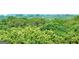 Lush treetop aerial view of natural landscape at 1501 Clairmont Rd # 1818, Decatur, GA 30033