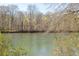 A scenic river view with trees lining the bank, offering a tranquil natural setting at 1250 Northcliff Trce, Roswell, GA 30076