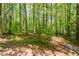 Backyard with mature trees and foliage providing a natural setting and privacy at 2261 Byron Sw Ct, Marietta, GA 30064