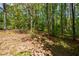 Backyard with mature trees and foliage providing a natural setting and privacy at 2261 Byron Sw Ct, Marietta, GA 30064