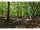 Secluded backyard featuring trees and dense foliage at 220 Autumn Sage Dr, Alpharetta, GA 30005