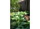 Lush landscaping frames a privacy fence at 2029 Tuxedo Ne Ave, Atlanta, GA 30307