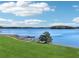 Picturesque lake view showcasing calm waters, a wooden dock, and a grassy shoreline with a mature tree at 1095 Lanier Pl, Cumming, GA 30041
