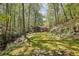Secluded backyard featuring lush greenery, a flowing stream, and a charming house nestled among the trees at 3311 Stillhouse Se Rd, Atlanta, GA 30339
