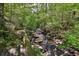 Scenic view of a stream flowing through a lush, green forest, offering a tranquil natural setting at 3311 Stillhouse Se Rd, Atlanta, GA 30339