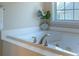 Close up of a white bathtub with chrome fixtures and a decorative plant in a luxurious bathroom setting at 5424 Landsdowne Ct, Cumming, GA 30041