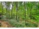 Wooded backyard views featuring mature trees and vibrant foliage at 2520 Overlook Ne Way, Atlanta, GA 30345