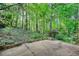 Concrete patio surrounded by lush green foliage offering a serene outdoor space for relaxation and enjoyment at 2520 Overlook Ne Way, Atlanta, GA 30345