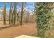 View of the backyard with a mix of trees, grass, and natural vegetation, offering a private outdoor space at 164 Polar Rock Sw Dr, Atlanta, GA 30315