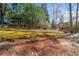 Spacious backyard featuring trees and greenery providing a serene outdoor space at 7420 Colony Ct, Cumming, GA 30041