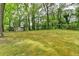 Expansive backyard featuring mature trees, lush greenery and a shed at 2963 Williams Pl, Snellville, GA 30078