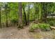 Pathway winding through a tranquil wooded area with lush greenery and natural landscaping at 2238 Parkview Nw Ct, Atlanta, GA 30318