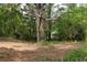 Expansive land with mature trees and scenic views, highlighting the property's natural beauty and seclusion at 6881 Homestead Rd, Rex, GA 30273