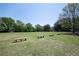 Community field featuring benches and lush greenery, ideal for outdoor activities at 5405 Preserve Cir, Johns Creek, GA 30005