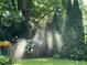 Green backyard featuring sprinklers, tall evergreen trees, and other blooming plants at 4025 Mcdowell Dr, Acworth, GA 30101