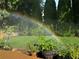Beautiful backyard featuring a vibrant rainbow created by a sprinkler system and lush greenery at 4025 Mcdowell Dr, Acworth, GA 30101