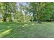 Expansive backyard featuring lush green grass and mature trees, ideal for outdoor activities at 5690 Abbotts Bridge Rd, Johns Creek, GA 30097