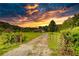Charming country home featuring a spacious yard and driveway with beautiful sunset views at 1277 Bethany Rd, Covington, GA 30016